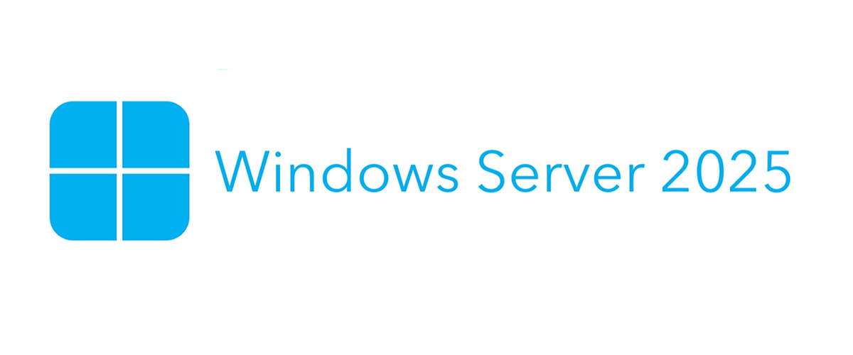 中国 最もよい Windows Server 2025 について 販売