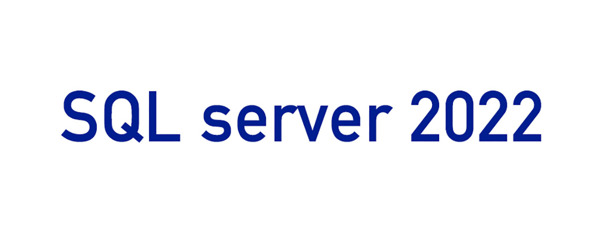 中国 最もよい SQL 2022 STD 販売