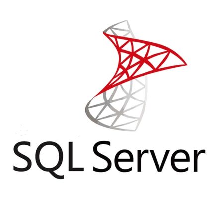 SQL Server 2025 Standard – Power, reliability, and security for your business