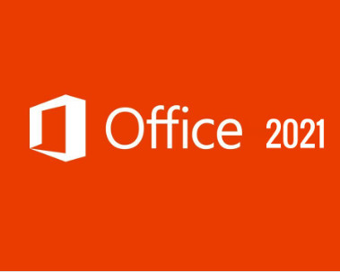 Office 2021 Pro Plus LTSC ボリュームライセンス ライフタイム デジタルコードキー オンライン配信