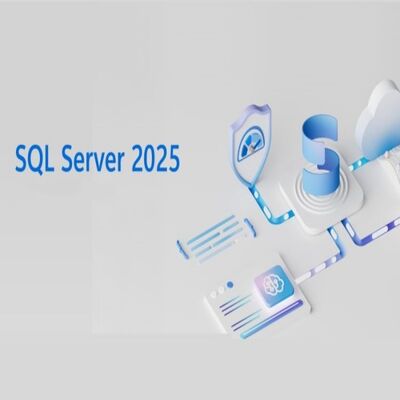 SQL Server 2025 標準 事業のためのパワー,信頼性,セキュリティ