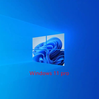 Windows 11 プロフェッショナルにアップグレードし,次のレベルに作業を進めます