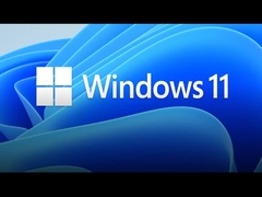 Windows 10/11 Professional プロダクトキー 1 PC リテールライセンス