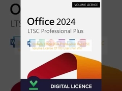 Office 2024 プロフェッショナルプラス LTSC ボリュームライセンスの100人のユーザー